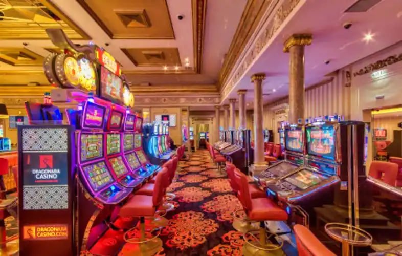 Riwayat akun funslot menampilkan daftar sesi Live Draw sebelumnya dengan taruhan, hasil, dan pembayaran